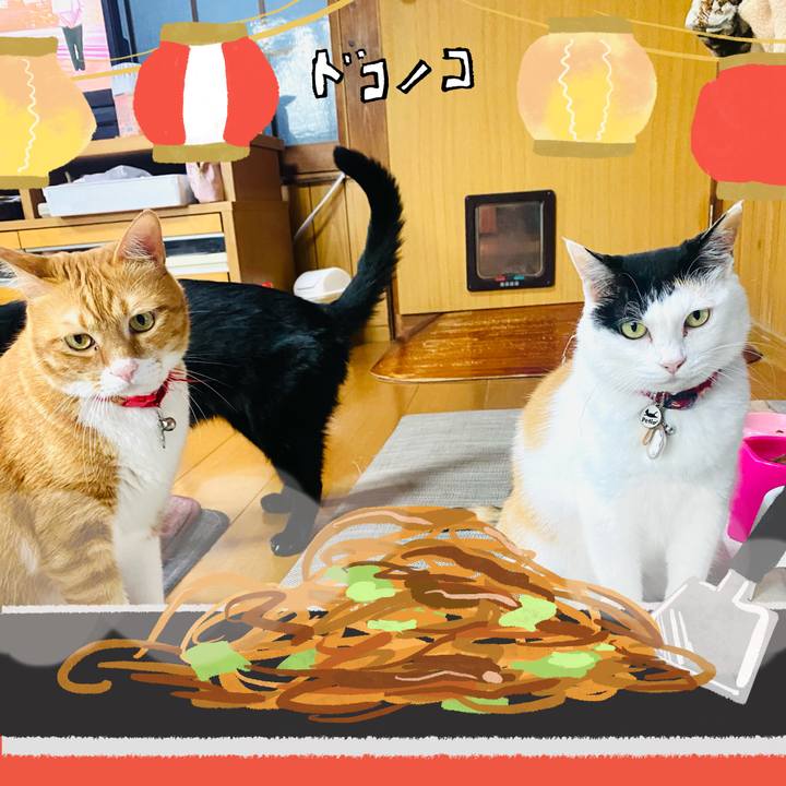 6938006d 2893 44f9 aece 95381db18c92 1755259479798