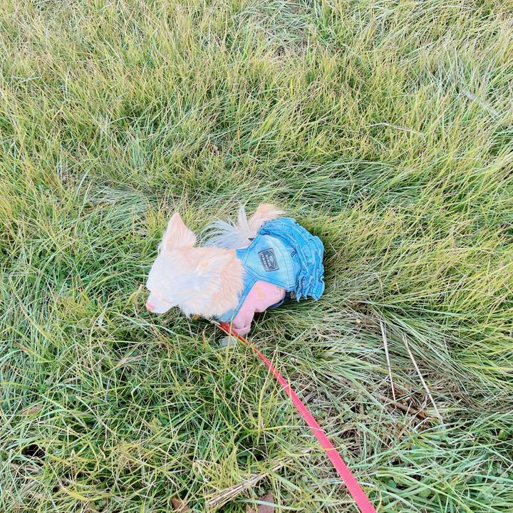 69382b14 4c18 4474 ab36 5ad5aad9f672 1673431042534