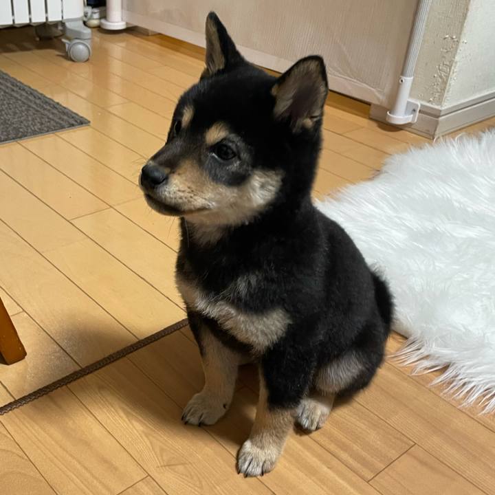 69383398 9cea 451d a8a8 4000897a5bbb 1679214914814