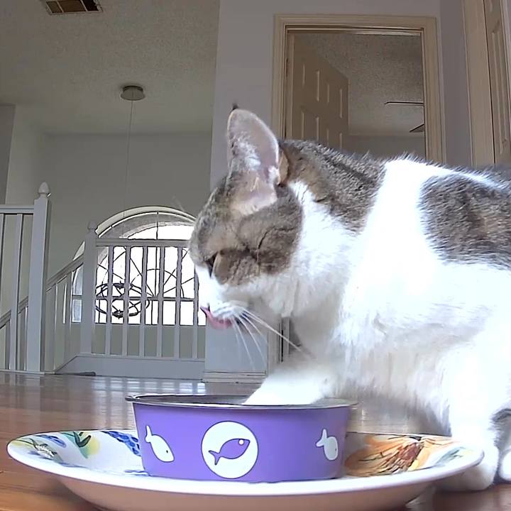 69385100 c2f5 4b83 bae8 18788b2821dc 1769271508469