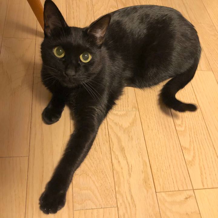 69387ffc 0f01 4d1c 8272 878372bd4ef6 1545659697979