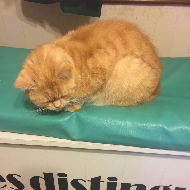 693884e1 d400 4267 a161 94ade4435d7b 1553873719604