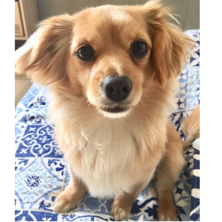 6938880c 7ff7 48f1 95a0 04d4e6c5ddb7 1553648996904