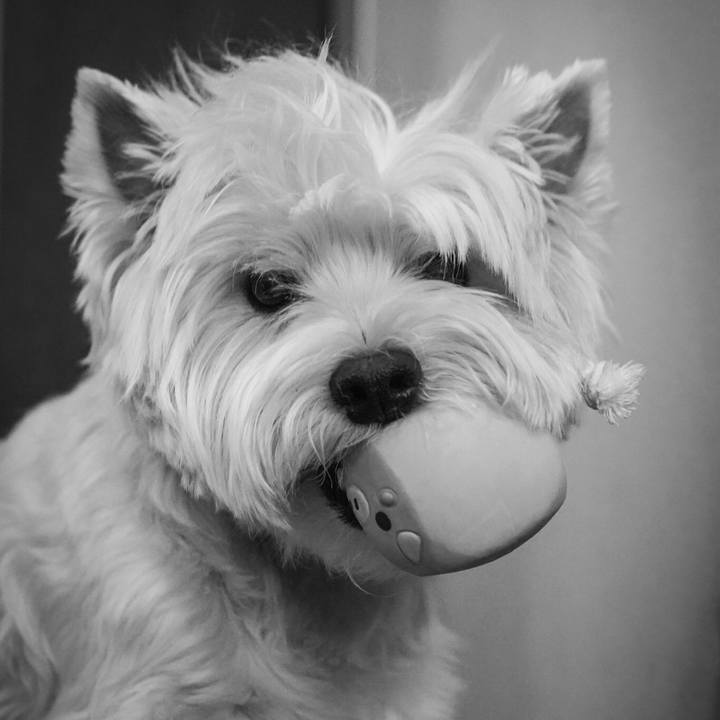 69389b80 d325 40ab 94ef 60ca4deae1ba 1530787429085