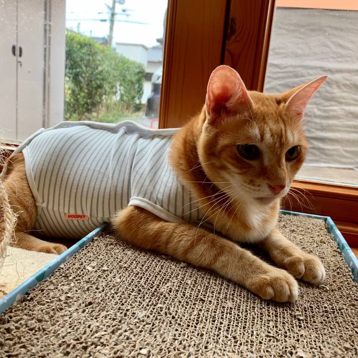 6938b6a3 a675 4de7 b6ec f519ae82d576 1569206467509