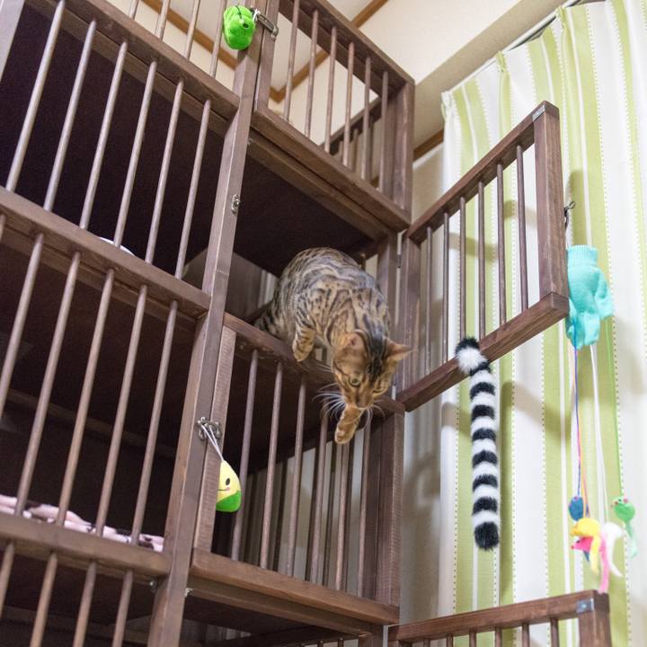 693943d0 b1bf 446b ba2c 70d86bd7b57d 1518264325397