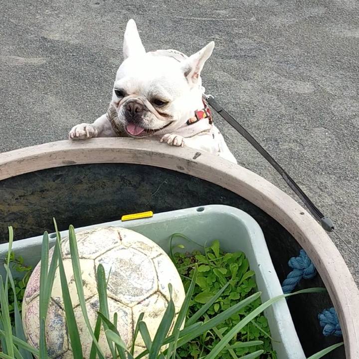 69394616 af3c 4404 ab30 afa9f3126879 1637213761078