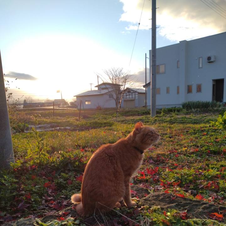 6939adb7 8651 4ef8 89a5 4e04c82a8940 1668377576337