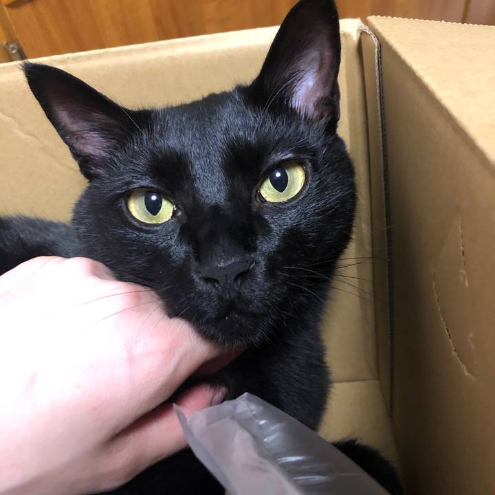 6939c4e3 22d0 45b1 8db4 59f89e53253c 1563880104016