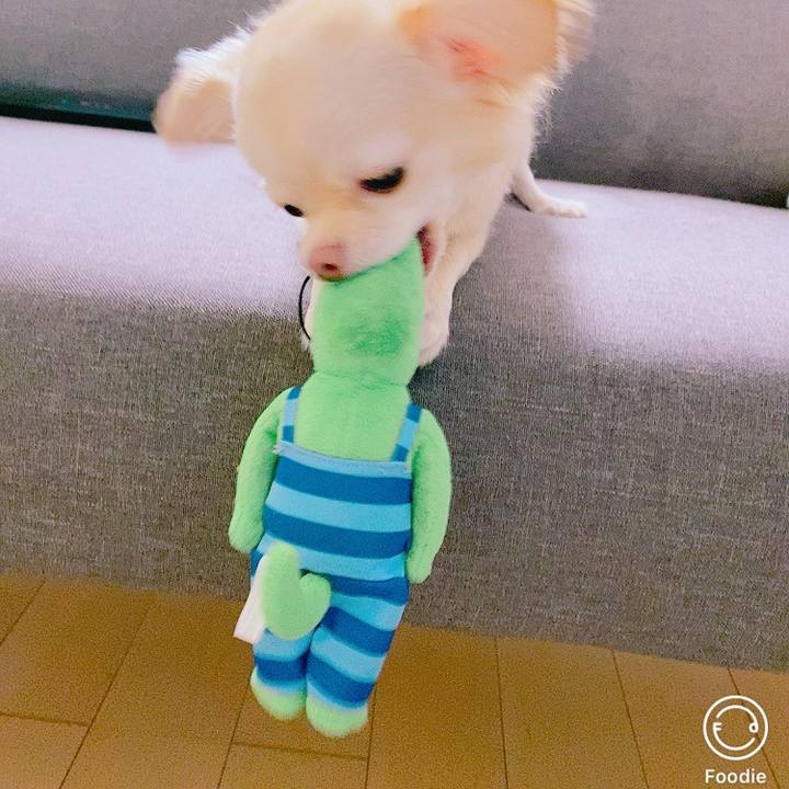 6939cde6 25ab 48b1 a841 126efe846039 1629699601471