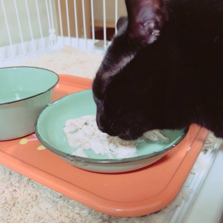 693a13fa 3074 409d 9a87 bad4a19349e9 1534414710255