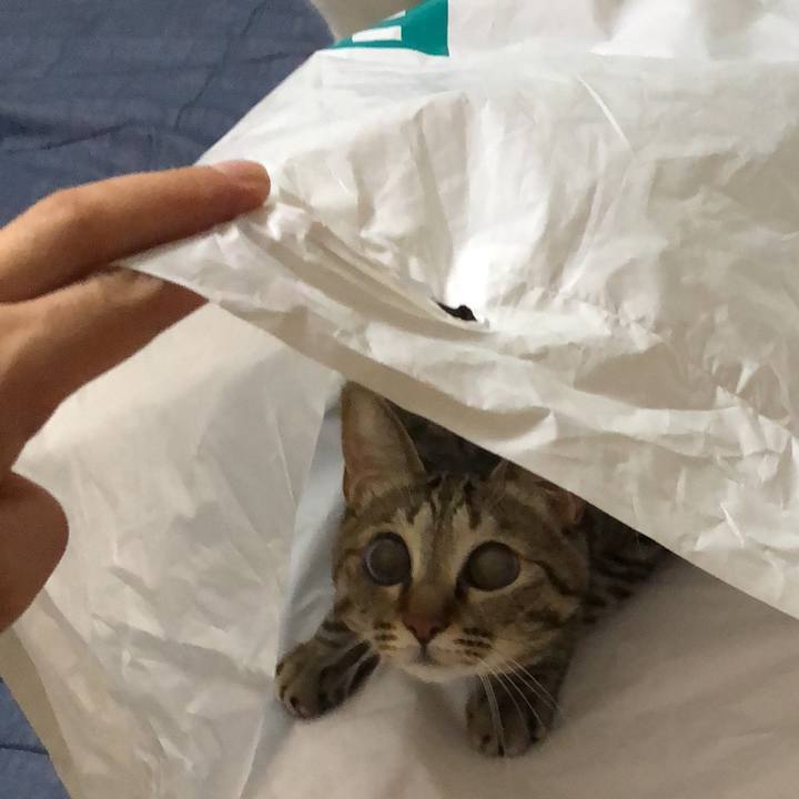 693a2e05 6e4f 4a44 a3f0 185338f6982a 1534173895822