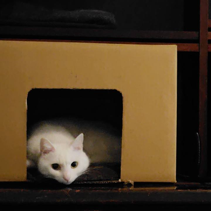 693a45b1 7d70 4ebb 8120 2b6c3d3cbdc4 1770064706411