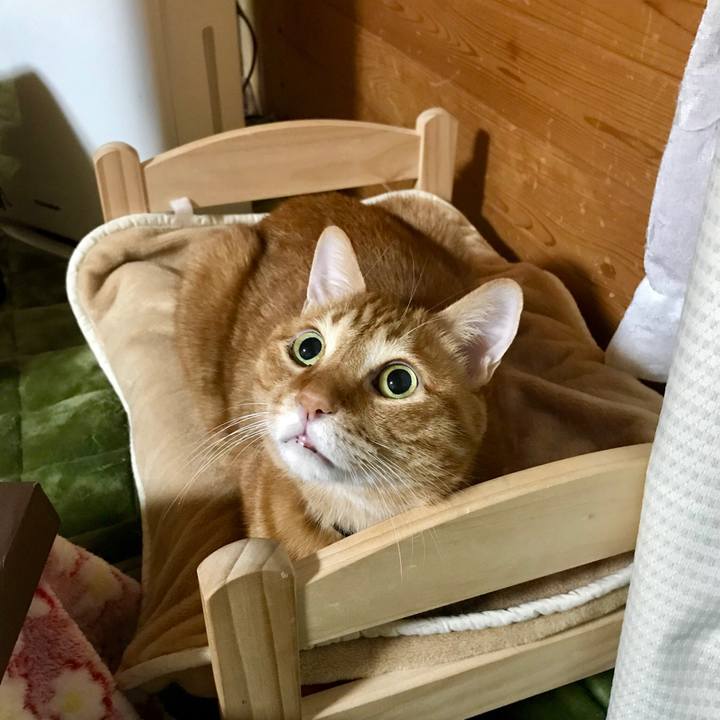 693a57dd ab19 4f18 b590 d30db8409a5e 1510128242170