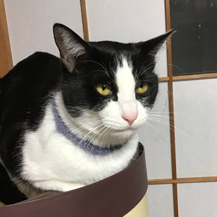 693a808e 0825 487b 899f 0ef6677e4aac 1670501045974