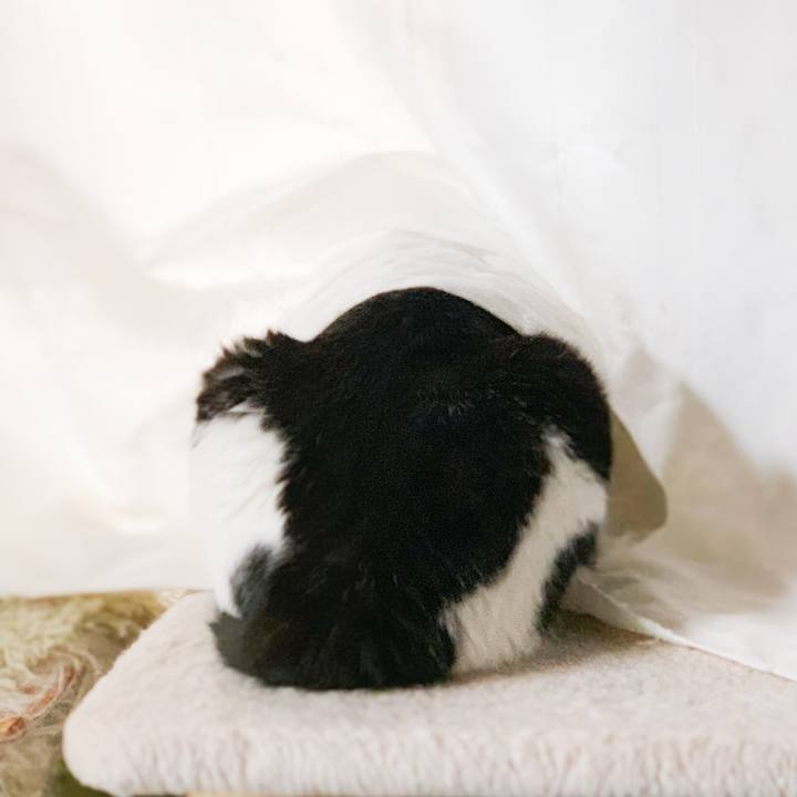 693a87b2 a07f 4695 beb3 88f366182c9b 1569808573231