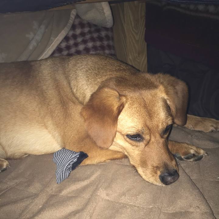 693a97af c8b0 43fb b4df e35af1d98096 1556407471808