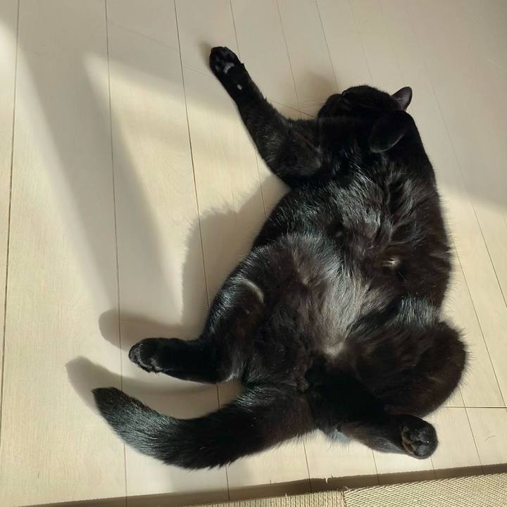 693aaa43 e2b0 4d15 ba99 849f90e8d044 1648967488785