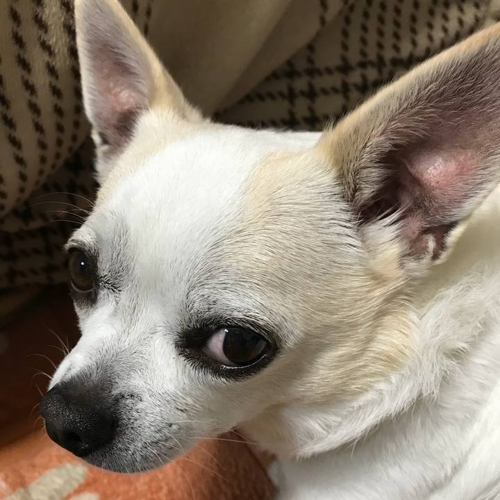 693ab245 4b9f 4cb7 892c f4839c29153e 1510279590050