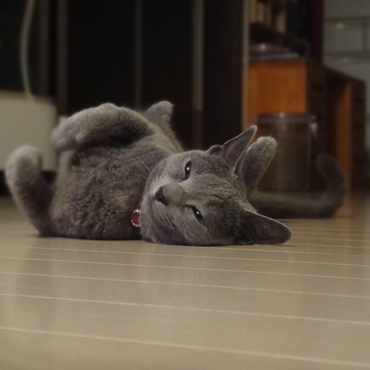 693aeb5c ae8f 407e 84b8 db44a6276f05 1613955176454