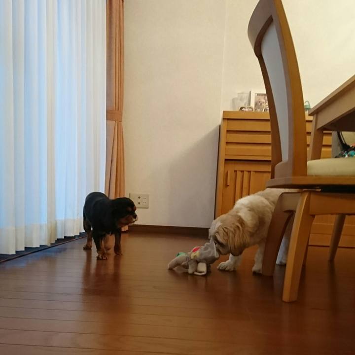 693b1f71 20cc 469d 96f0 b7a64f0e2545 1556700701289