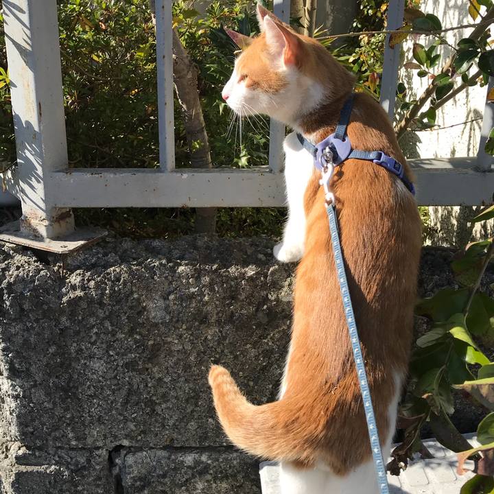 693b22bc 26d6 4973 80dd ec421974497b 1510552081113