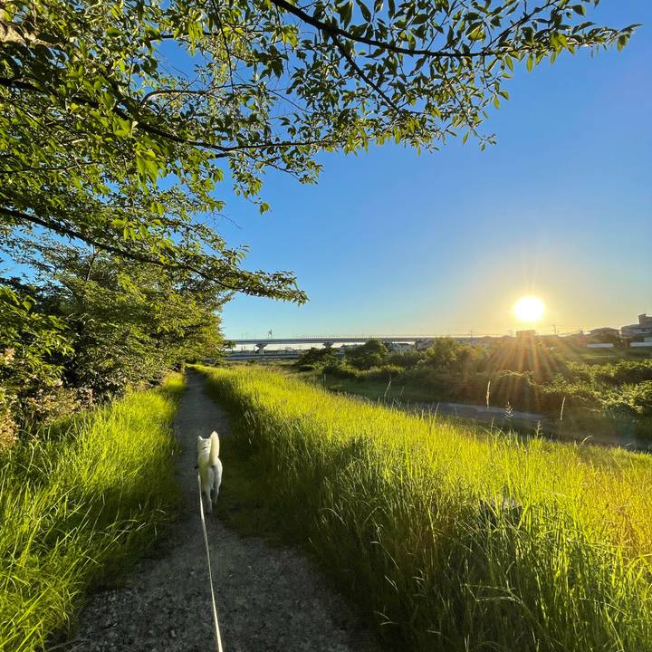 693b3b23 e447 4b15 a19a 30b8fa591b7f 1659066045337