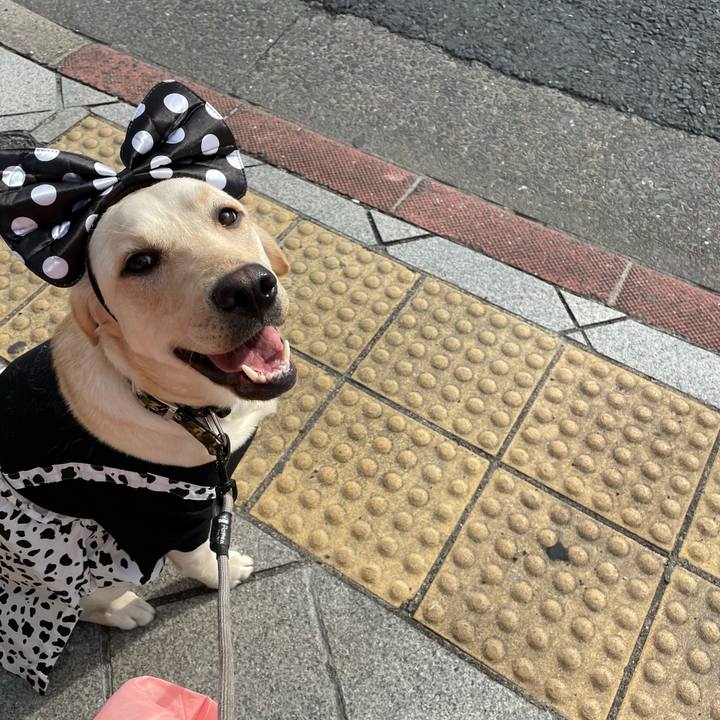 693b5191 1403 4a08 af2b 68052b69ee74 1643451404688