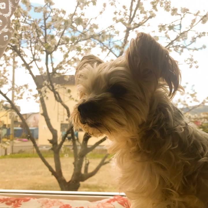 693b7d56 8b15 441f 8400 0fa5ec8bc50a 1557729092812