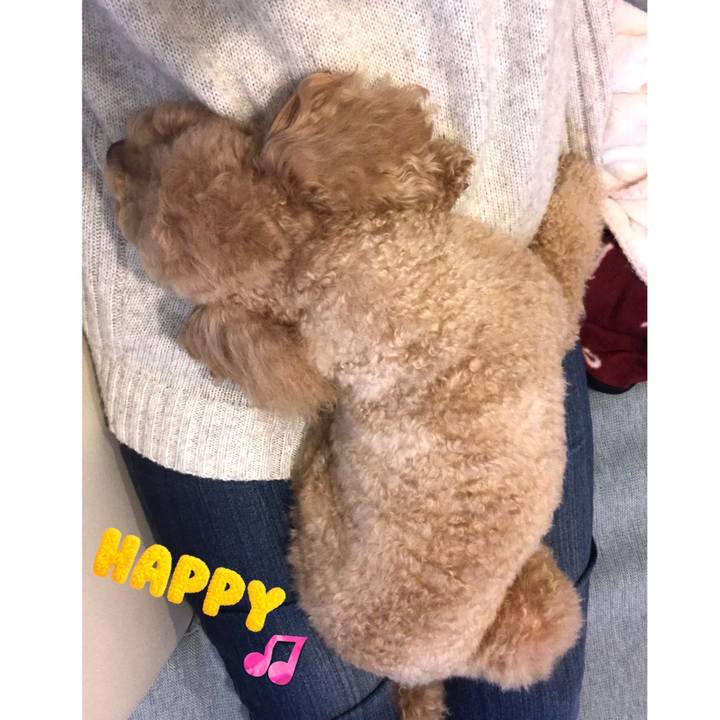 693b813a e026 4b99 9124 54ac5f7d2adc 1547627566669