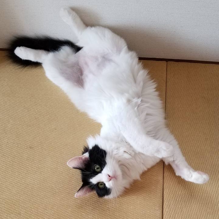 693b81f6 9d06 420e af8d 3bdcdcc0ee4d 1536112027411