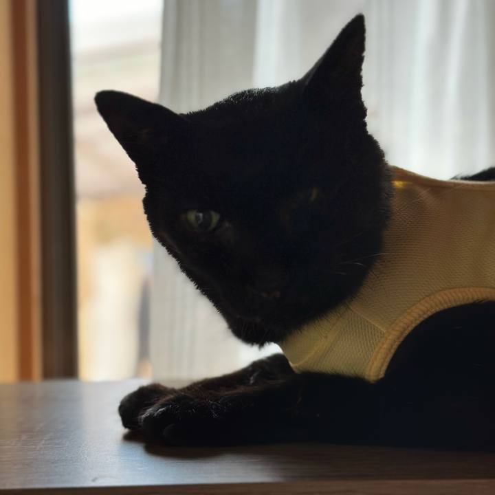 693b825c 7355 43d2 a585 7b459a7ce67e 1722990492788