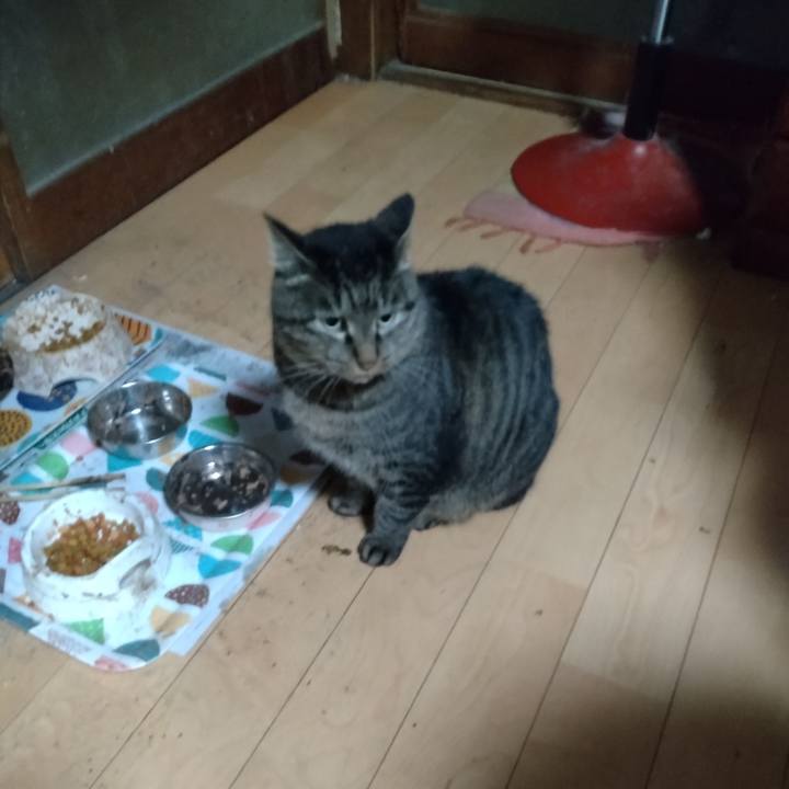 693b9098 d907 41fa 814f 4b683e2fecf2 1669240922157