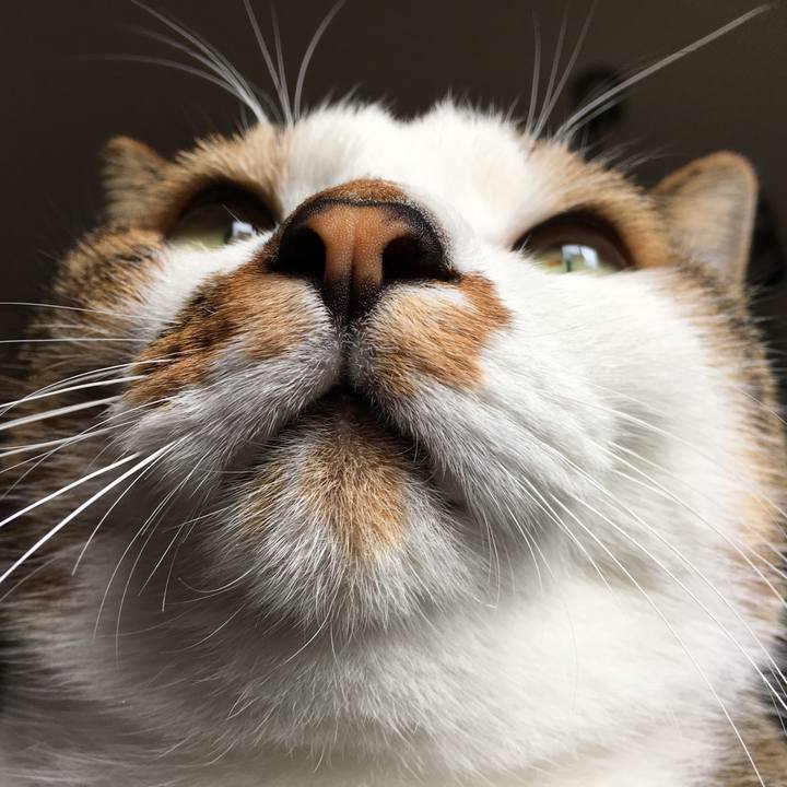 693b9f28 3f12 4c3c 8d5b 96712c96e731 1512996366803