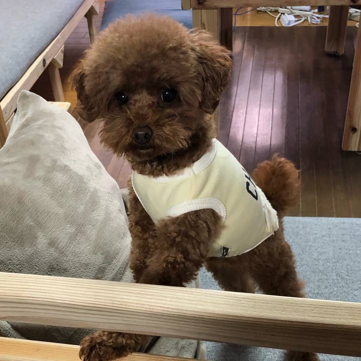 693ba068 076f 49bc 8a2a 5cecc78ef1e5 1577310408701