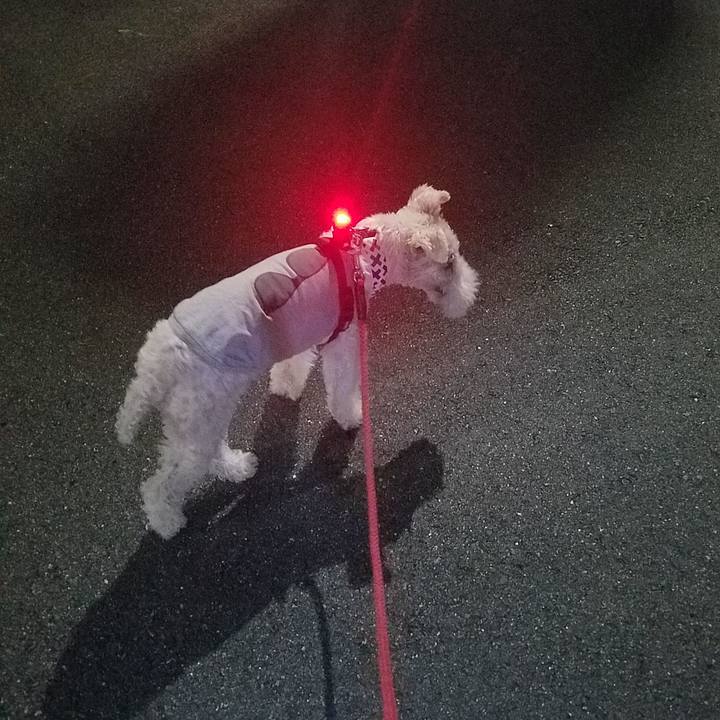 693bc4fe 67bd 45fb 8af0 b0ebfaf22434 1600093062582