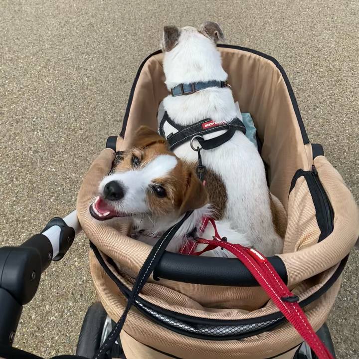 693bee3a 8faf 4d90 b90a 10597c3d777f 1632119388214