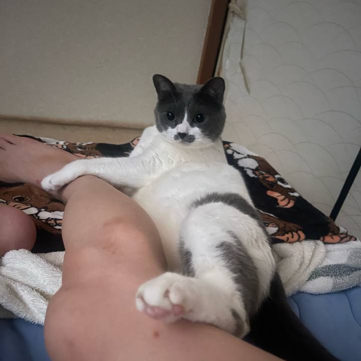 693c0711 e316 45c5 931a 40b657bd6e6d 1750373621031