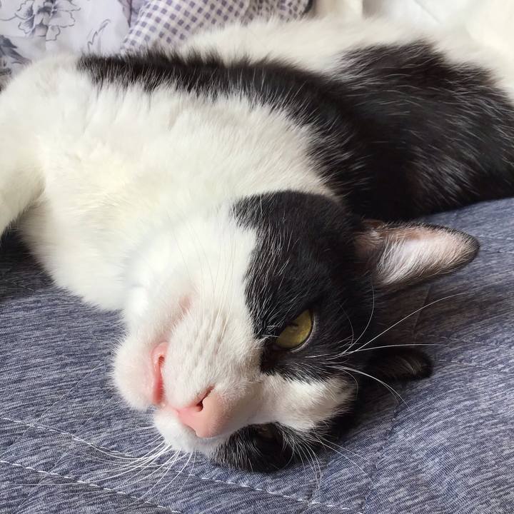 693c2768 5094 4c0c b1cd f0dd299ba81d 1760948472269