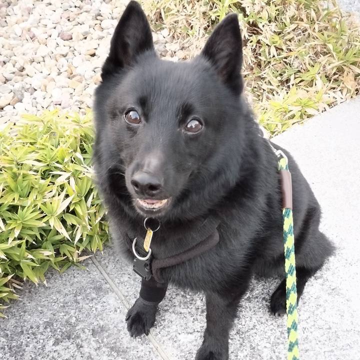 693c61e3 26ea 4845 8fb4 4800412687ca 1757281308456