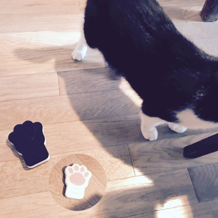 693c6f33 d55f 4932 9ddb 047ebf809da2 1535241828687