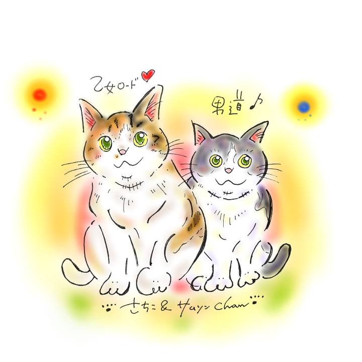 693cada8 bb73 4934 a66c f7323bcf973f 1581958600089