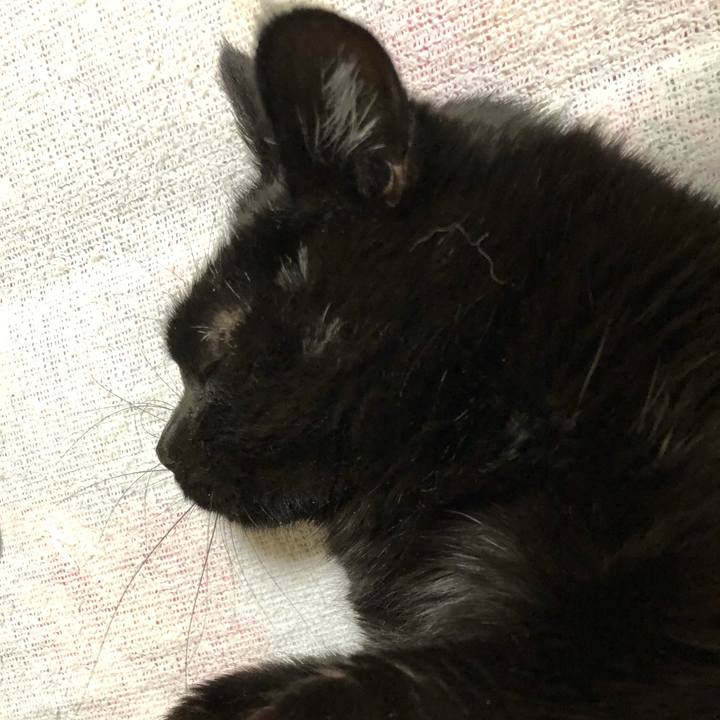 693cbfe7 6027 498a 8b14 50e5cecbcdbc 1612608561221