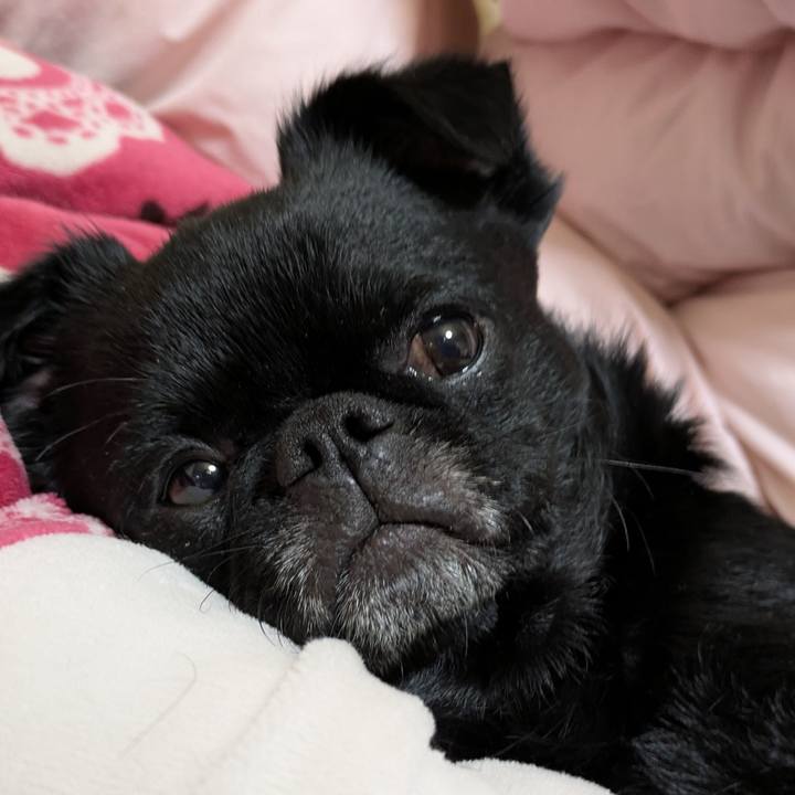 693cd94a 5743 4e25 a180 cb505963bb3a 1772891294653