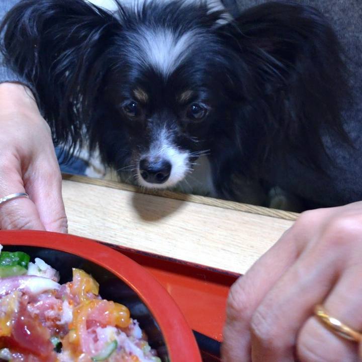 693ce085 1409 41e8 ab92 3444f6c8baeb 1552203256142