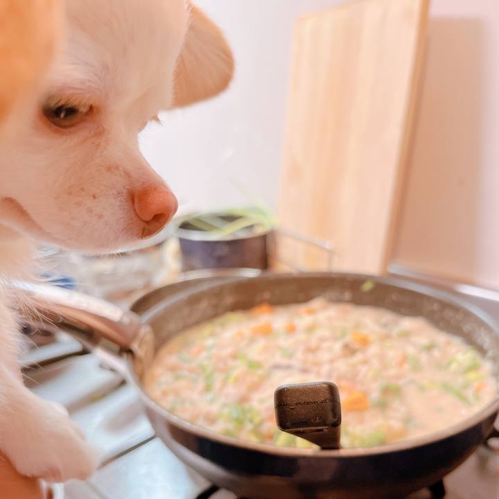 693d253e 7354 44d3 9df3 003ef3abc454 1663231314207