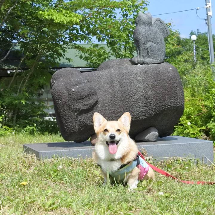 693d452d 4f87 4339 8128 c8a6f63b0e02 1591616529850