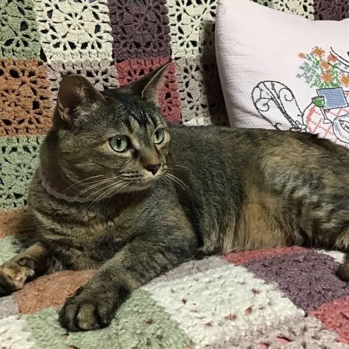 693d4e26 64a1 4938 b438 65916cc21162 1717325836024