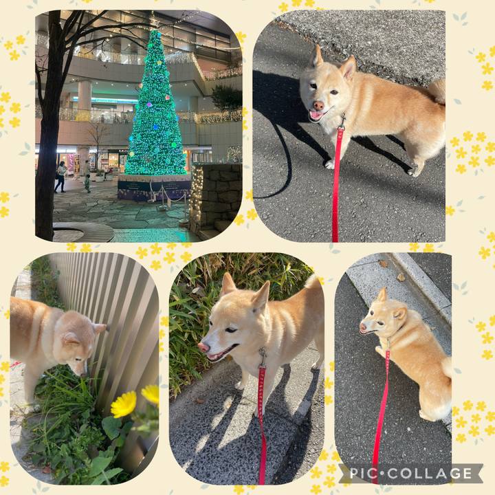 693d84d0 ddc2 4bbe bf87 acbcc62d27c3 1733352854094