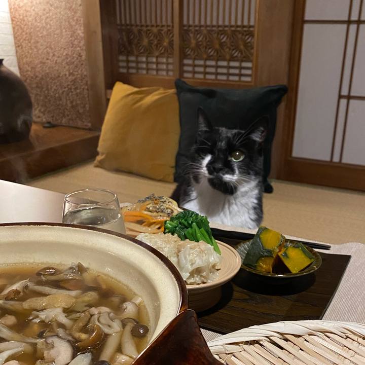 693db49b 4585 4c93 abca aa63cc570ff3 1703245580744